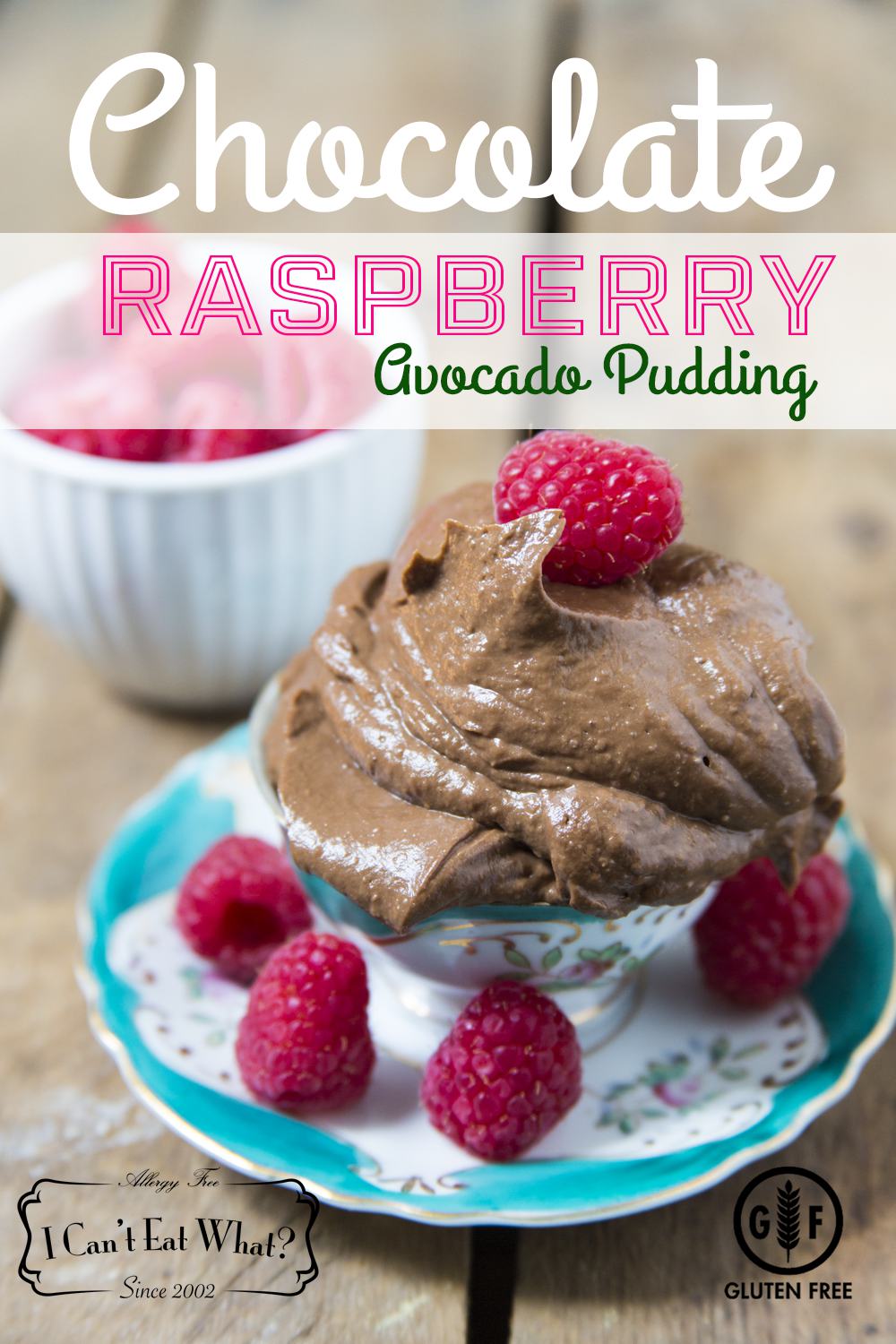 Chocolate Covered Raspberry Pudding (Sugar Free)